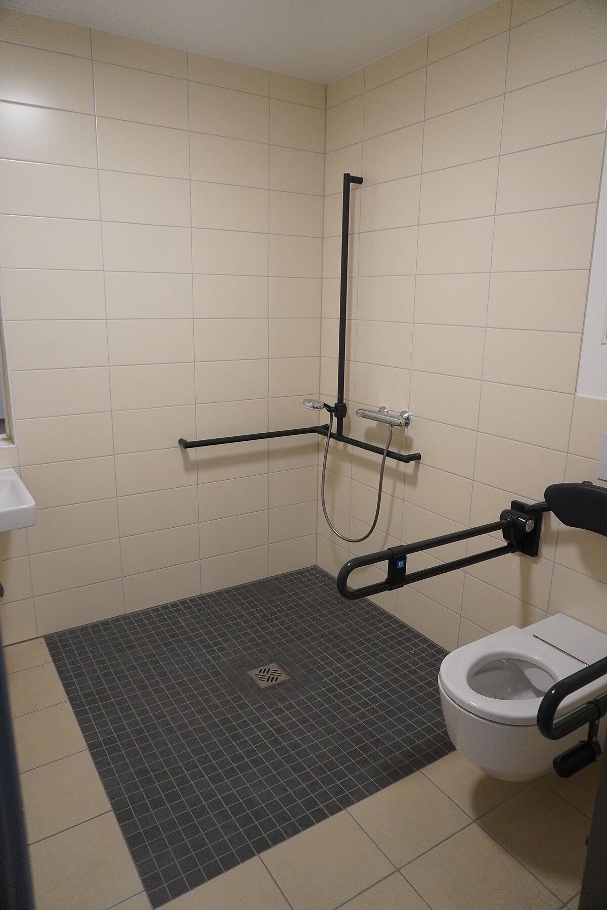 Dusche und Toilette im Badezimmer