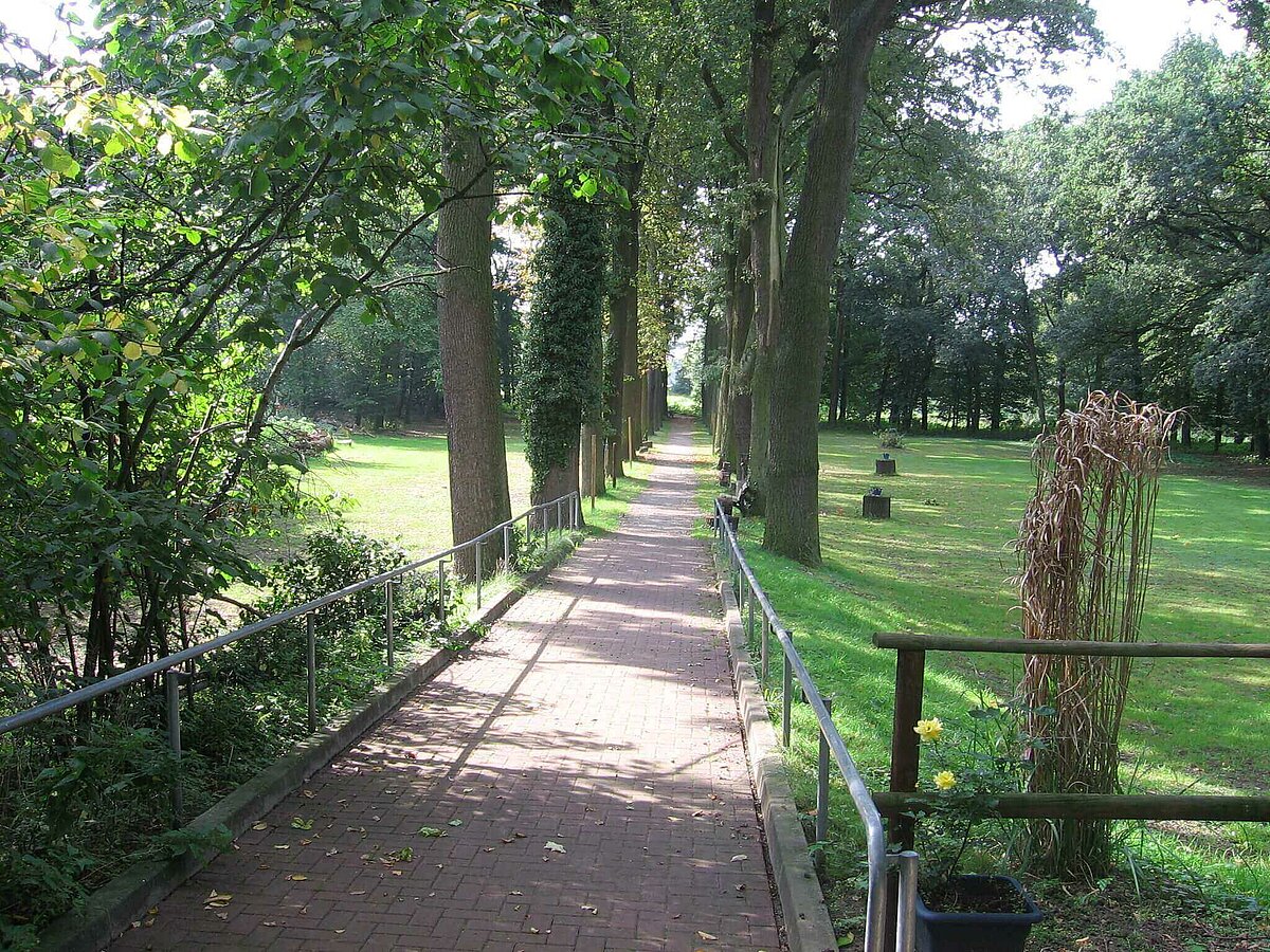 Blick in den Park, Weg zur Aller