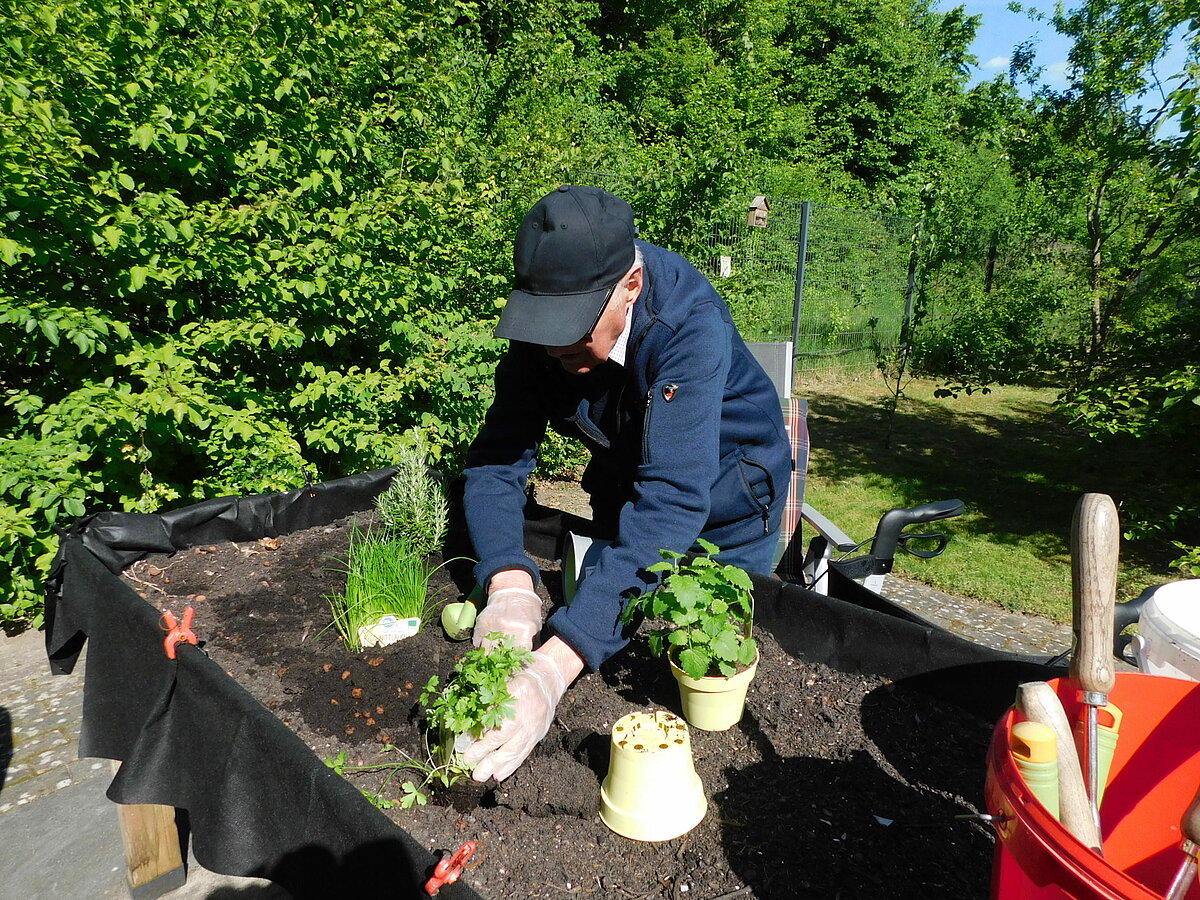 Gartenarbeit Mai