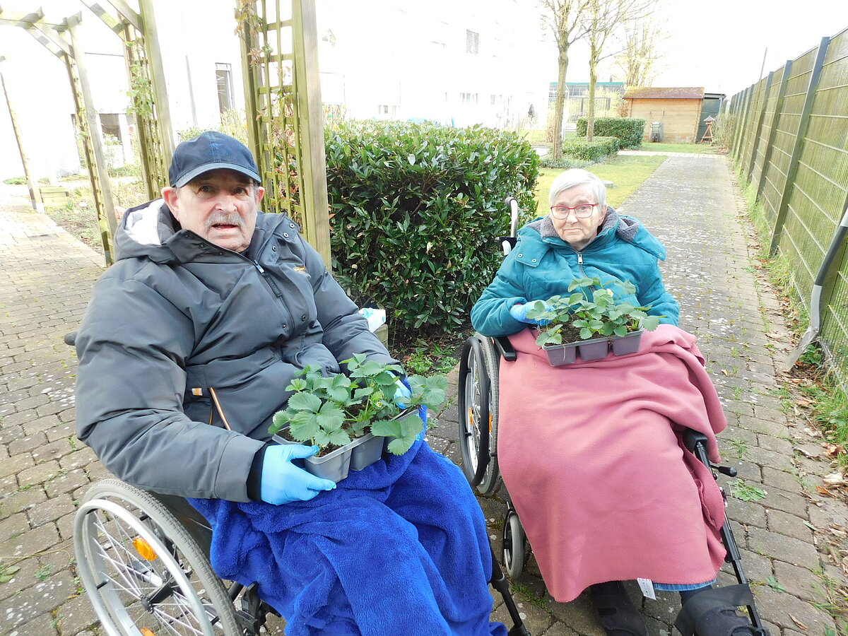 Blumenkasten