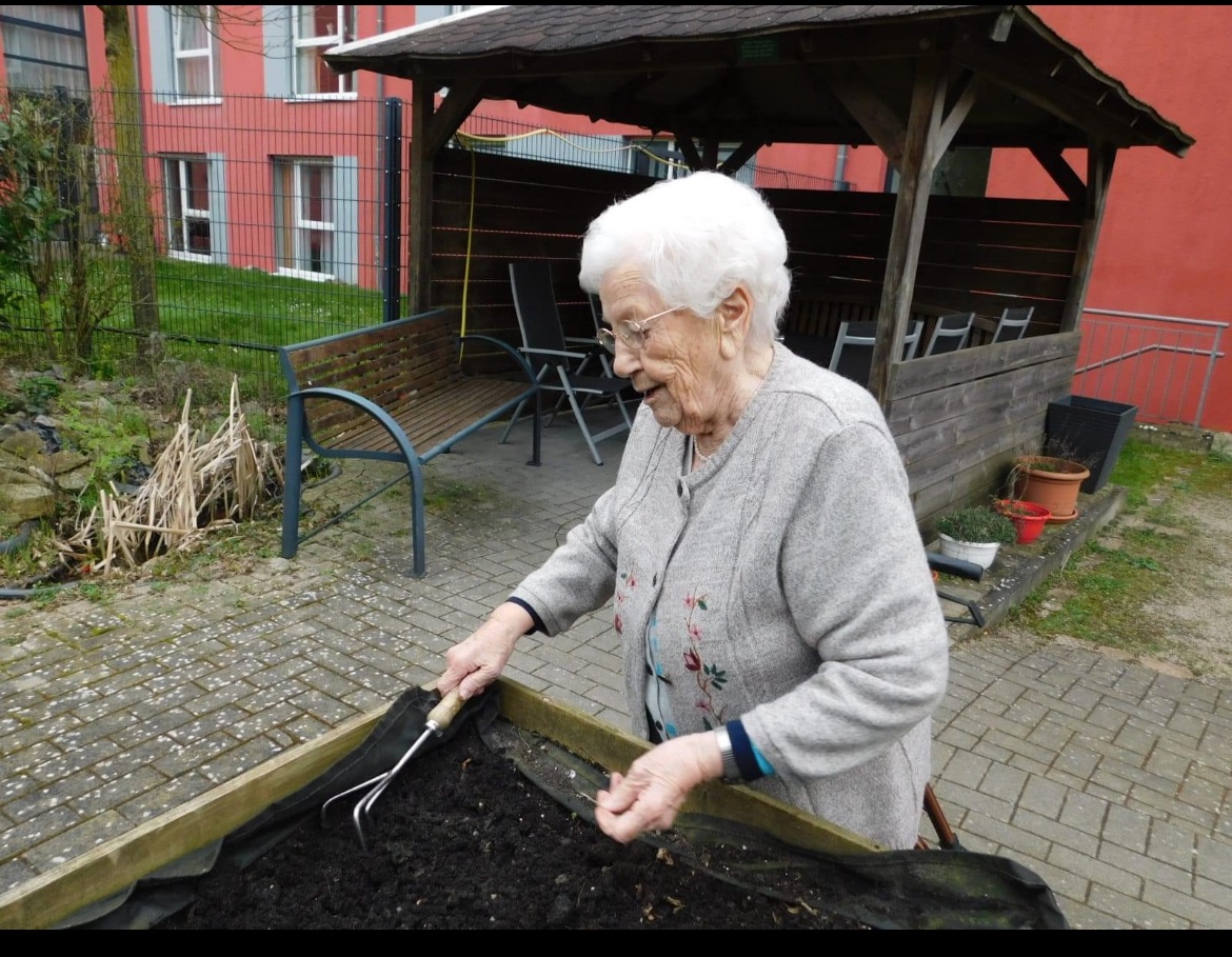 Sämlinge einpflanzen