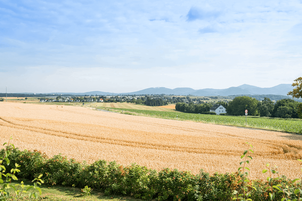 Schöne Landschaft rund um das CMS Altenstift Limbach in Wachtberg-Berkum